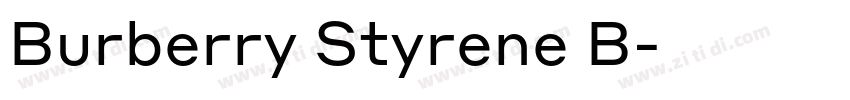 Burberry Styrene B字体转换